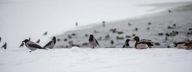 Similar image 22095214