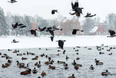 Similar image 22095217