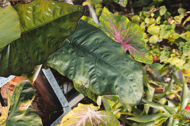 Similar image 22099694