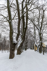 Similar image 22095225