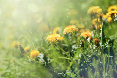 Similar image 22095233