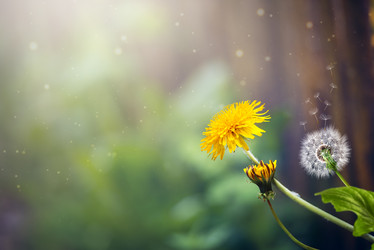 Similar image 22095235