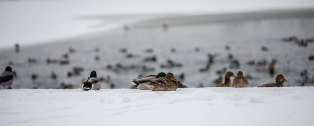 Similar image 22095236