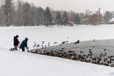 Similar image 22095240