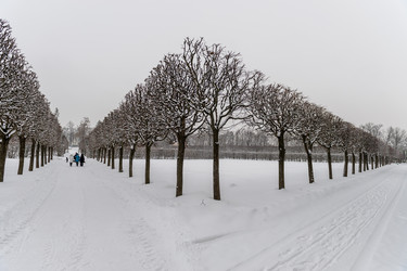 Similar image 22095241