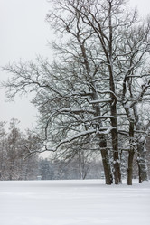 Similar image 22094916