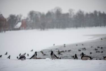 Similar image 22094918