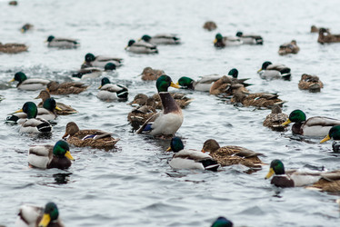 Similar image 22094919