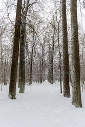 Similar image 22094926