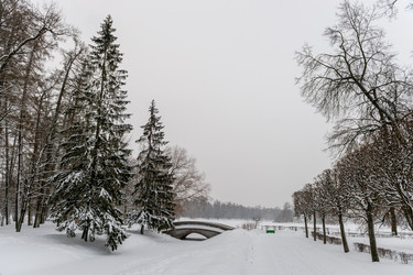 Similar image 22094929