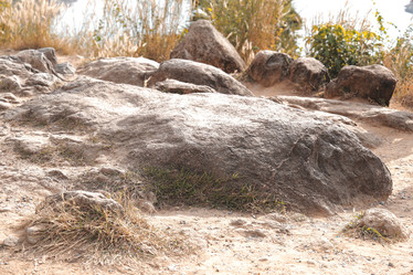 Similar image 22099978