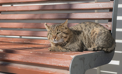 Similar image 22110119