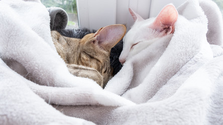 Similar image 22092844