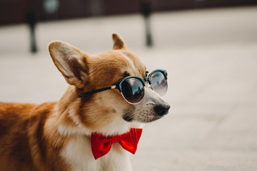 Similar image 22092822