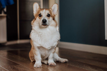 Similar image 22092823