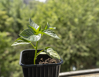 Similar image 22110122