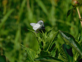 Similar image 22100881