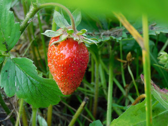 Similar image 22100882