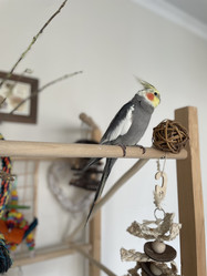 Similar image 22092845