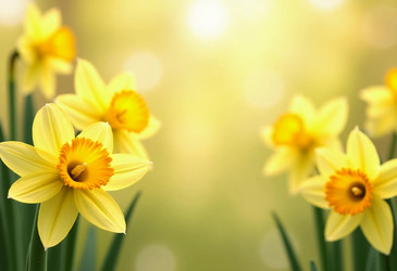 Similar image 22118623