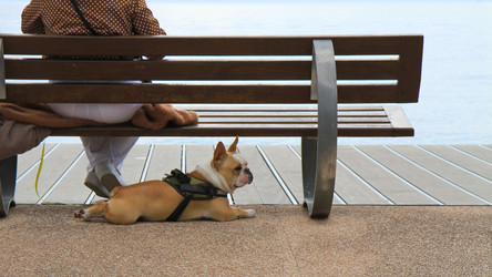 Similar image 22093004