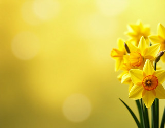 Similar image 22095451