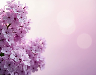 Similar image 22095469