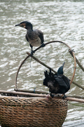 Similar image 22098225