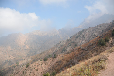 Similar image 22093120