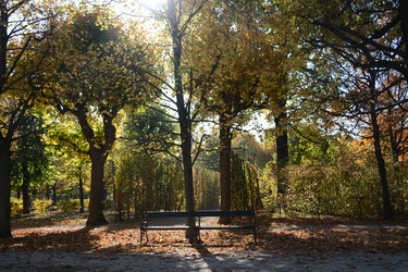 Similar image 22093124