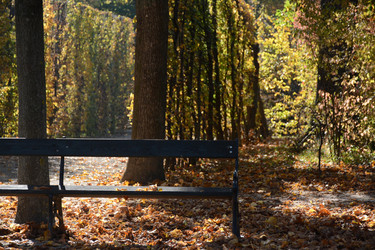 Similar image 22093125