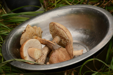 Similar image 22093131