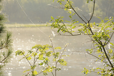 Similar image 22093135