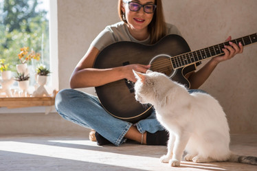 Similar image 22093462