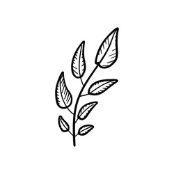 Similar image 22117682