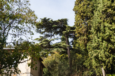 Similar image 22092881