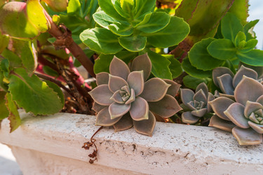 Similar image 22092850