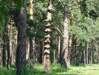 Similar image 22101006