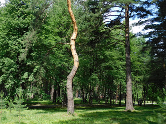 Similar image 22101007