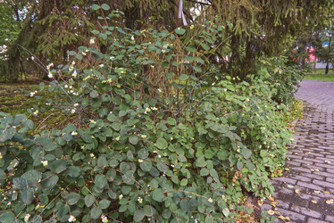 Similar image 22092894