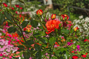 Similar image 22092895