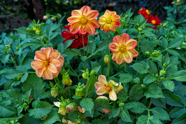 Similar image 22092897