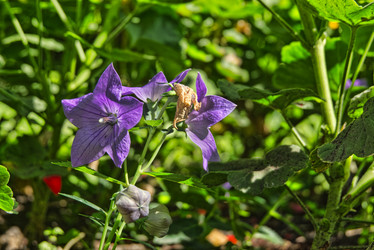 Similar image 22092898