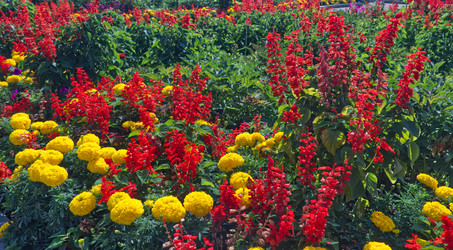 Similar image 22092899