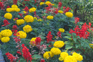 Similar image 22092901