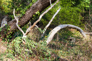 Similar image 22097632