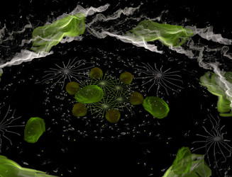 Similar image 22100299