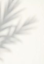 Similar image 22095530