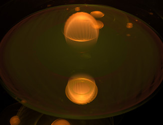 Similar image 22098464