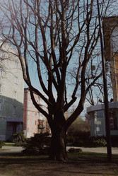 Similar image 22093029